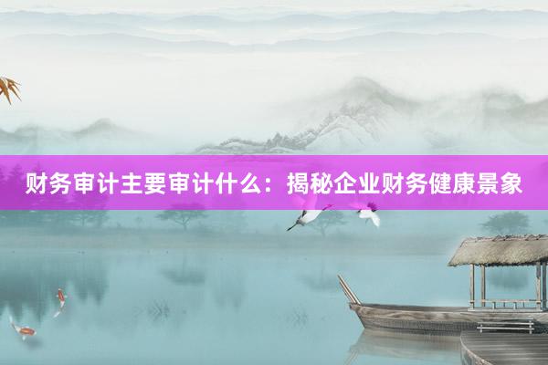 财务审计主要审计什么：揭秘企业财务健康景象