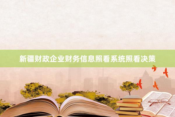 新疆财政企业财务信息照看系统照看决策