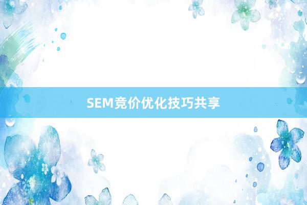 SEM竞价优化技巧共享