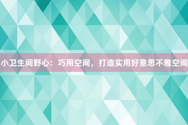 小卫生间野心：巧用空间，打造实用好意思不雅空间