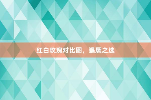 红白玫瑰对比图，猖厥之选