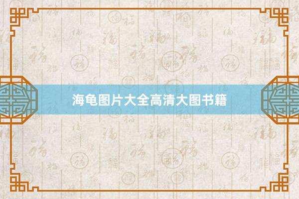 海龟图片大全高清大图书籍