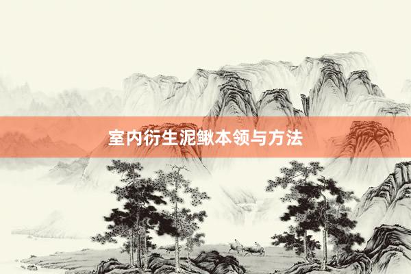 室内衍生泥鳅本领与方法