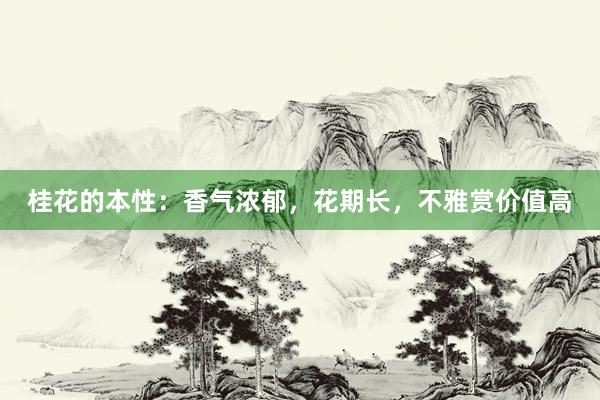 桂花的本性：香气浓郁，花期长，不雅赏价值高