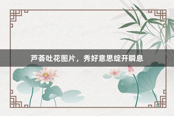 芦荟吐花图片，秀好意思绽开瞬息